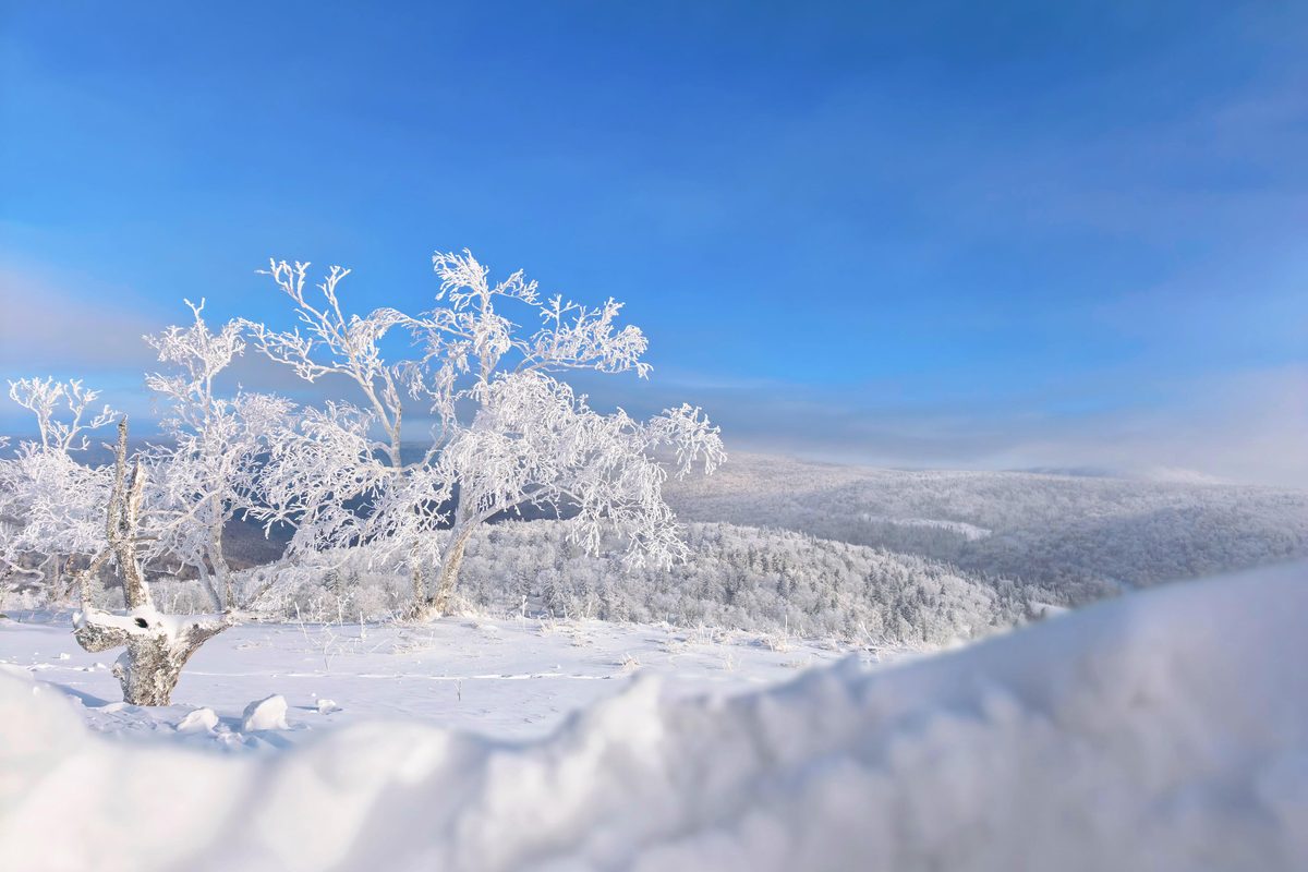 黑龙江·哈尔滨·亚布力·雪乡冰雪品质游