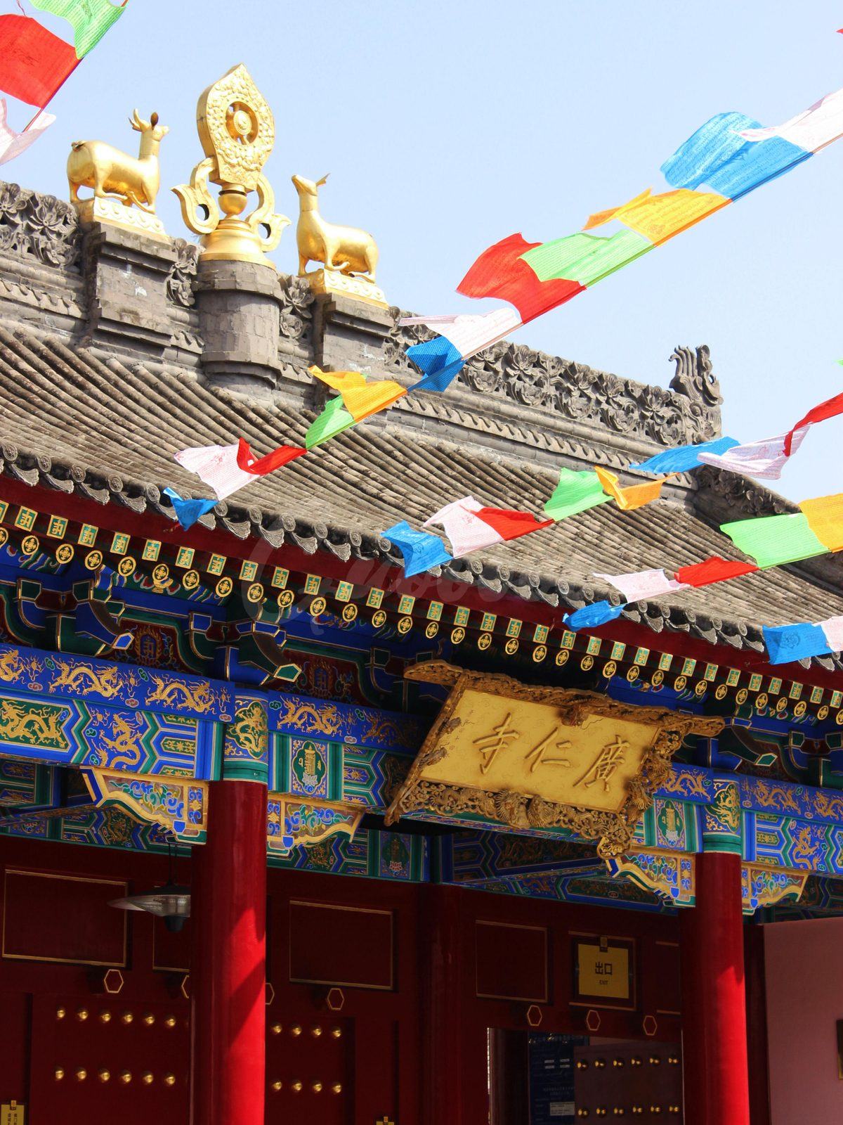 乾陵 · 法门寺
