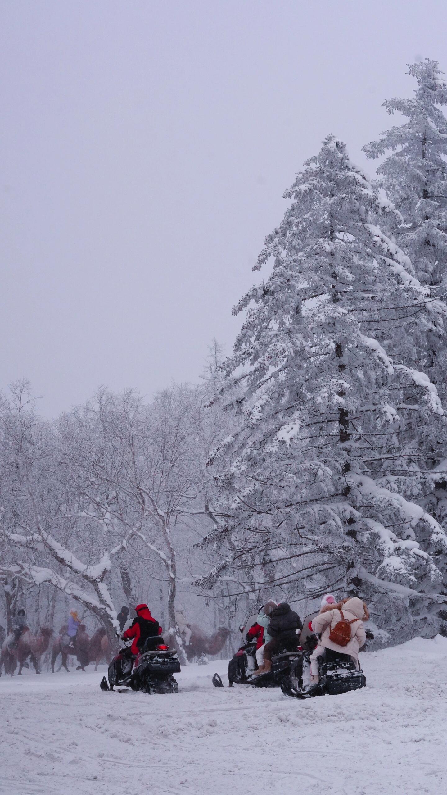 亚雪公路 → 雪乡