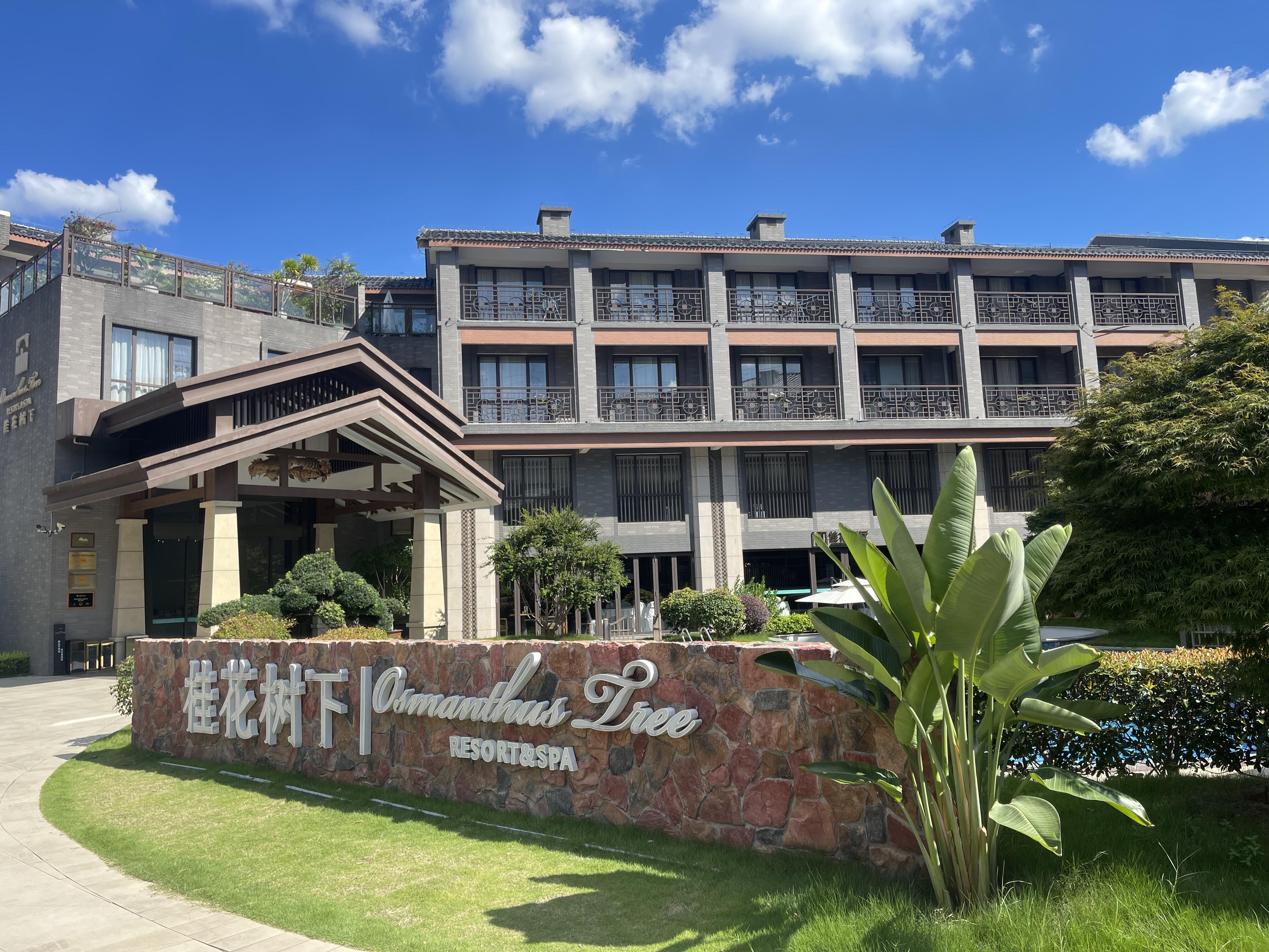 刘三姐文化 · 桂花公社 · 温馨返程