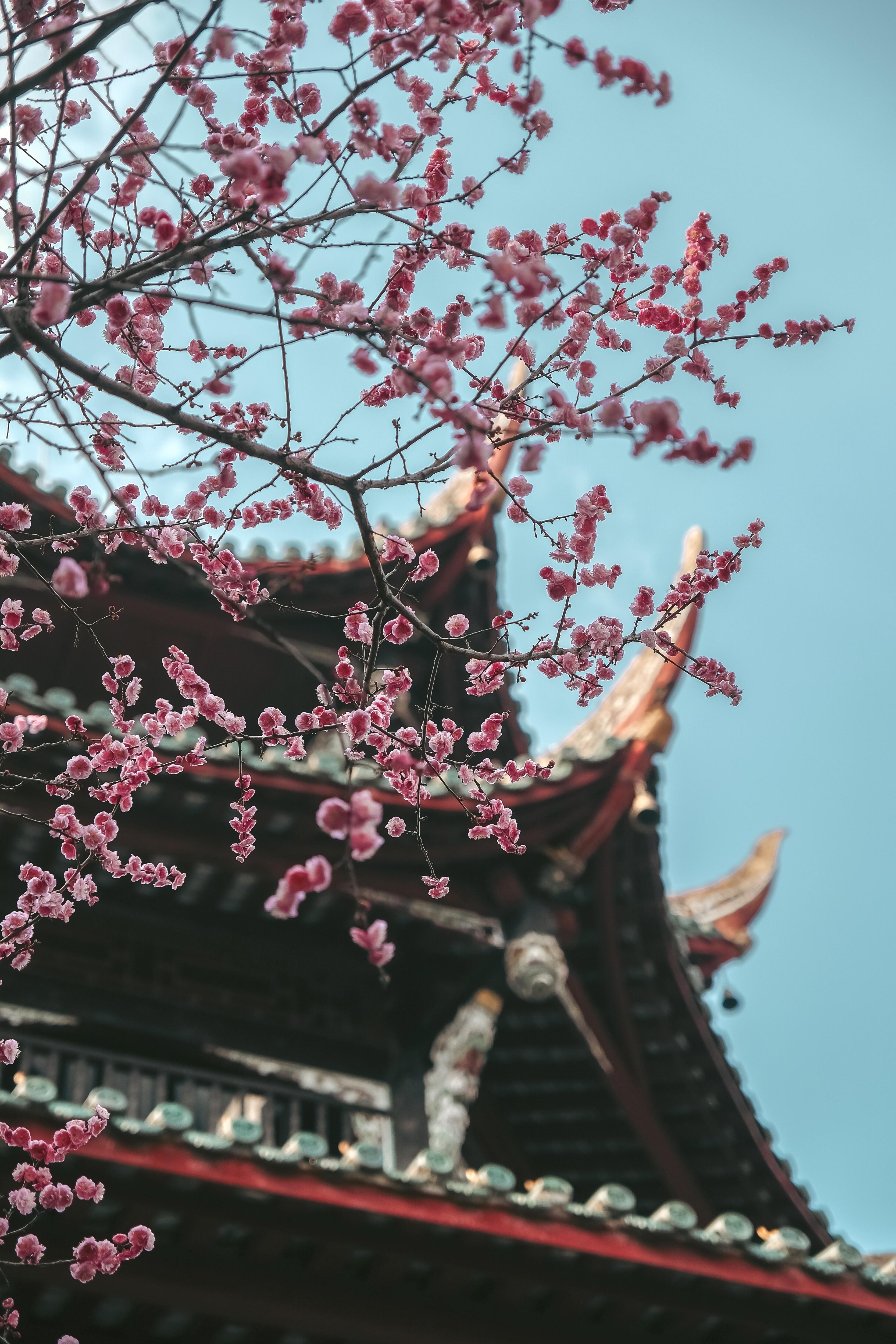 成都送机